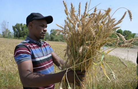 One challenge is a lack of adequate water for irrigation