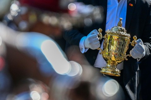 Webb Ellis Cup is the Rugby World Cup trophy