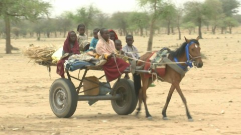 Sudanese refugees cross the border into Chad