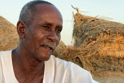 Sudanese farmer Qamar al-Bashir at a farm field in Sudan's Jazira region -- the war has eroded the livelihoods of farmers and small business operators