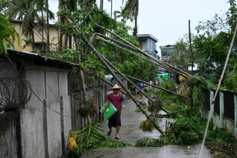 A man walks past fallen trees after Cyclone Mocha crashed ashore, in Kyauktaw in Myanmar's Rakhine state