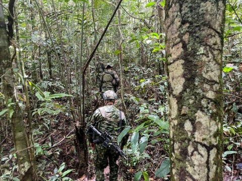 Some 200 soldiers and Indigenous people with knowledge of the terrain are combing an area of some 320 square kilometers (124 square miles) -- about double the size of Washington, D.C.