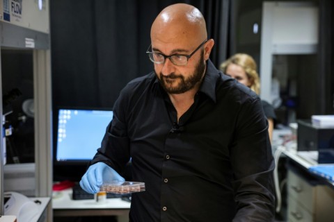 Dr Jacob Hanna working at Israel's Weizmann Institute of Science last year