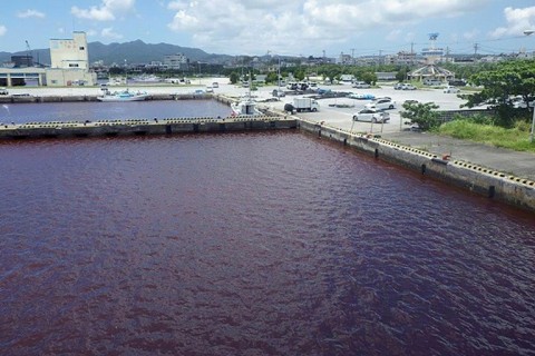 A leak filled a port area in the city of Nago with the luridly coloured water