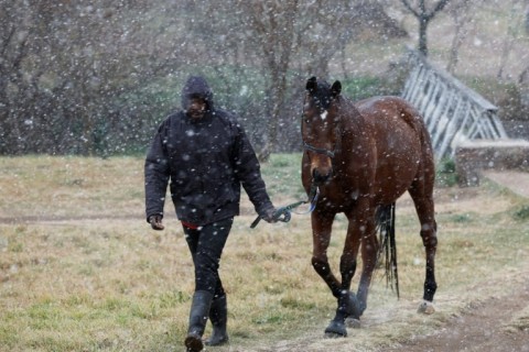 Johannesburg residents woke up to a rare snowfall 