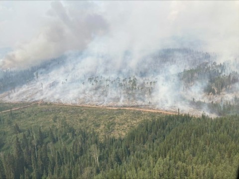 The wildfire in Tintagel, British Columbia is seen in a photo provided by the British Columbia Wildfire Service on July 12, 2023