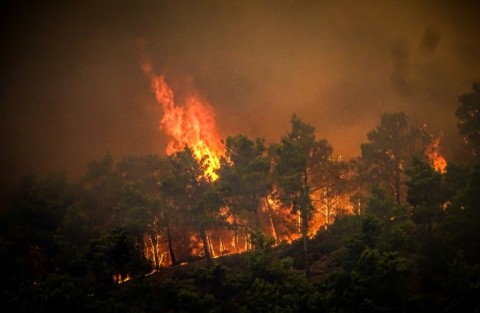 The fires on the island have been raging for five days