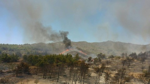 Wildfires rage on the Greek island of Rhodes