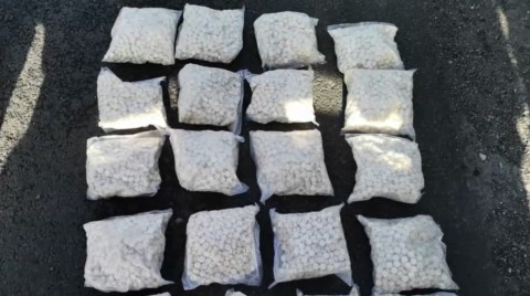 WATCH | R80m drug bust made in Douglasdale