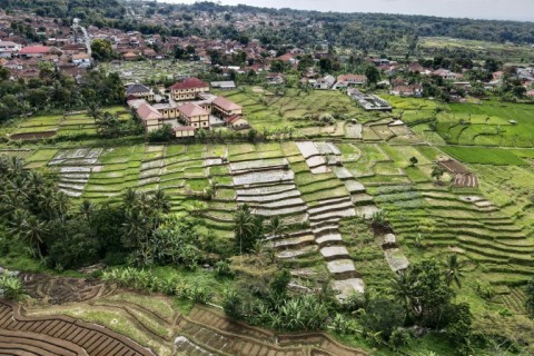 In Cigugur village, around 200 kilometres from Jakarta, Sunda Wiwitan followers observe a harvest festival that was outlawed until 1998