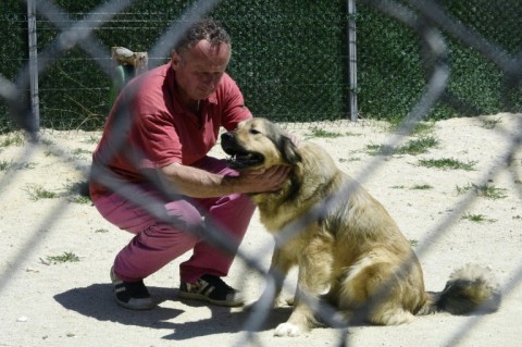 Laika is one of a handful of organisations dedicated to managing the population of strays 