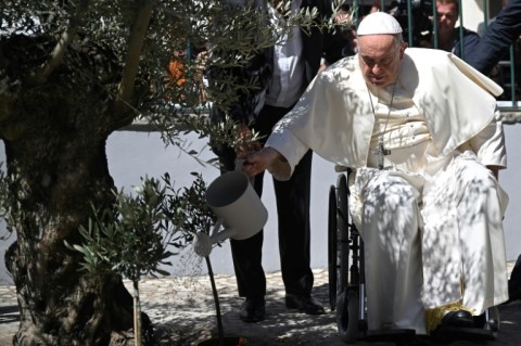 Before leaving the pope watered an olive tree, the symbol of peace, in the patio of the foundation