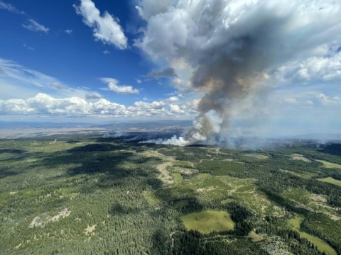 More than 1,000 wildfires are currently burning across the vast country, including about 230 in the Northwest Territories, in Canada's taste of a very hot and destructive summer in much of the Northern Hemisphere