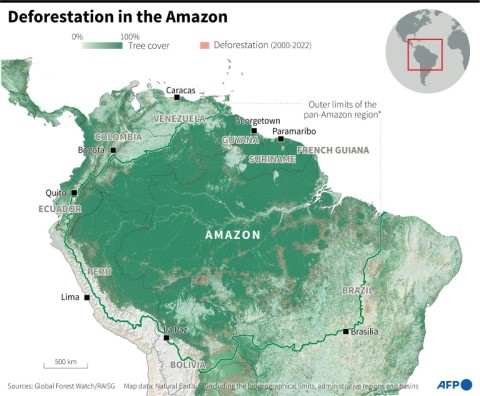 Deforestation in the Amazon