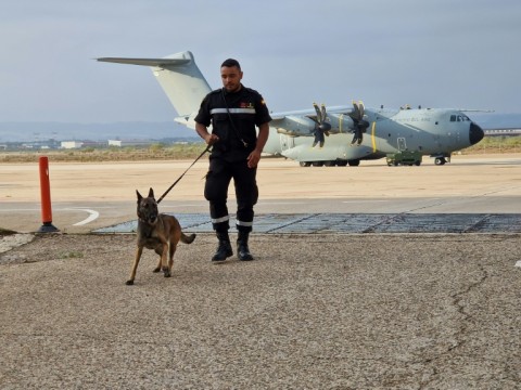 These teams have been deployed to help in earthquakes abroad