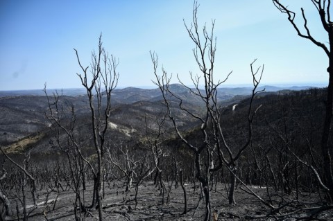 Before the floods, wildfires devastated parts of Greece and claimed at least 26 lives