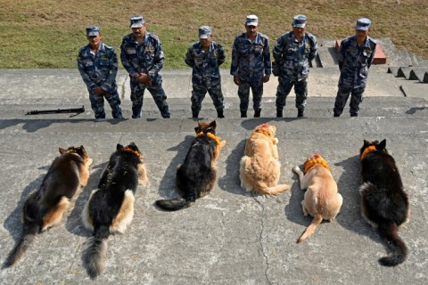 The Armed Police Force held a special ritual to honour and worship their canine force