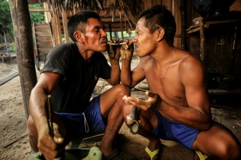 According to tradition, all community decisions are taken by consensus in the 'maloka' council, with traditional leaders chewing coca leaves to connect with Nature and the ancestors