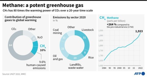 Methane: a potent greenhouse gas