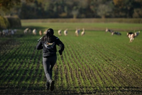 Saboteurs try to distract the dogs with loud cries and by spraying lemongrass to confuse their sense of smell