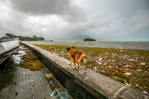 The authorities have advised the public to stay in a safe place, with 'torrential rain conditions' expected in the coming hours