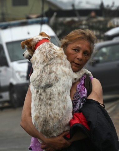 A woman carries a rescued dog after a series of wildfires raged through parts of central Chile, leaving at least 112 people dead