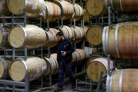 The wine industry is facing a labour shortage