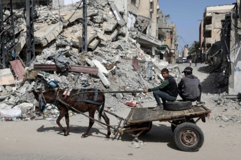 Palestinian boys ride a donkey cart in Rafah, where around 1.5 million people are sheltering from the war