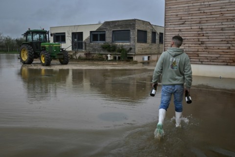 Copernicus said the cyclical El Nino climate pattern, which warms the sea surface in the Pacific Ocean leading to hotter weather globally, continued to weaken in March