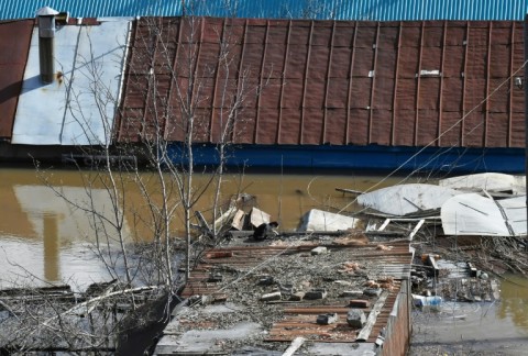 A cat is seen on the roof of a building in the flooded Russian city of Orenburg 