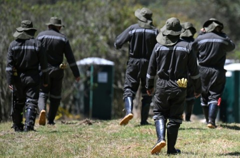 Former Colombian military officers responsible for the murder of hundreds of civilians killed in combat work planting trees in Usme, south of Bogota