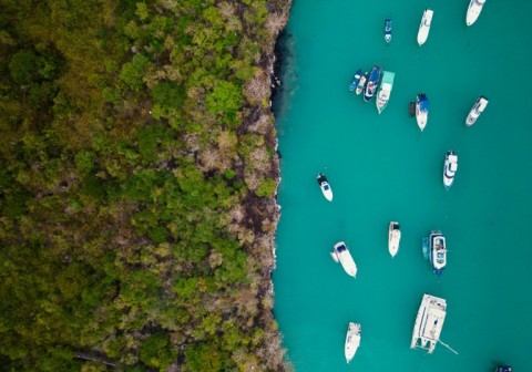 The Galapagos are part of a marine reserve and classified a World Heritage Site