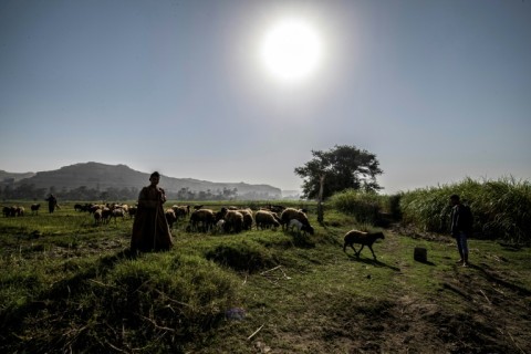 'On The Brink of Dreams' follows teenage girls in a rural part of Egypt