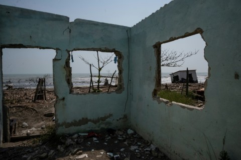 According to Greenpeace, El Bosque is the first community in Mexico to be official recognized as displaced by climate change