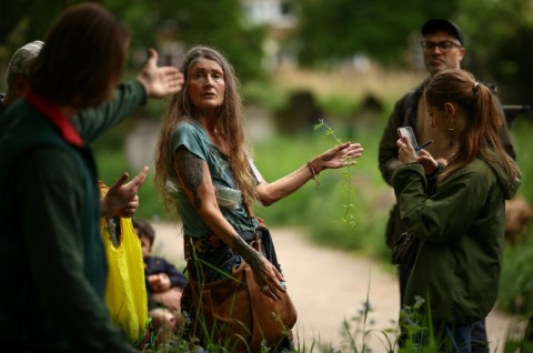 People smell and taste plants such as garlic mustard, wild strawberries and wild rocket