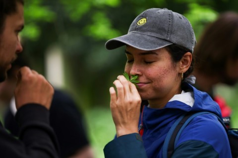 Many attending said they did not realise so many of the plants were edible