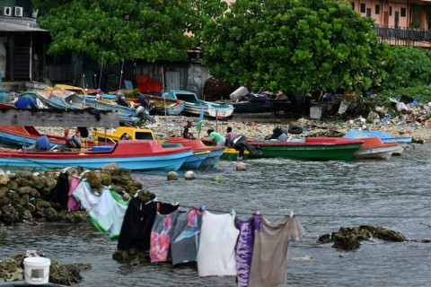 The Pacific's Solomon Islands has become a key player in the global live animal trade, with foreign collectors sourcing exotic species including some subject to trade bans