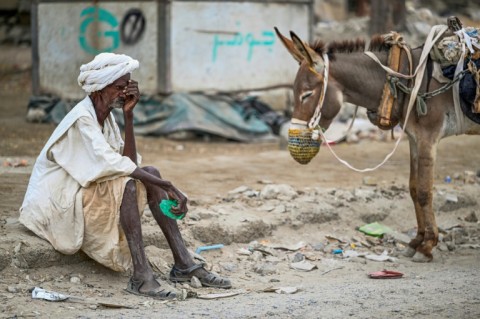 Between April 2023 and March 2024, the health ministry recorded nearly 11,000 cases of cholera -- a disease endemic to Sudan