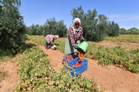 Saleh Hamadi, a farmer struggling to share his well water, said 'Most of our youth has moved away, leaving their elders on their own'