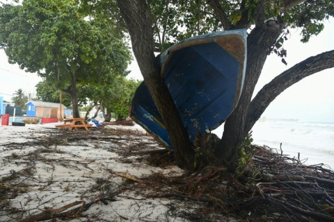 A boat ended up in a tree after the passage of Hurricane Beryl in Barbados