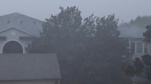 Heavy rain falls and trees sway amid powerful winds in Houston as Beryl makes landfall in Texas