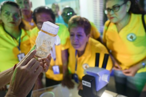 Aedes aegypti mosquitoes are shown during an event aimed at preventing tropical diseases