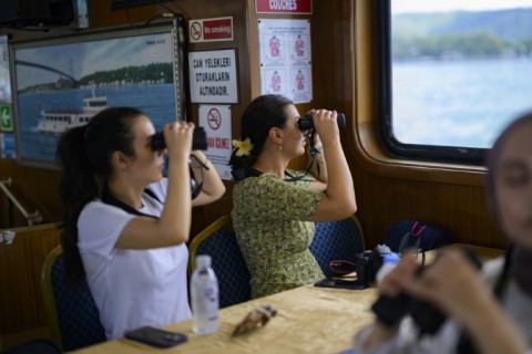 Thar she blows: Istanbulites spotting dolphins on the free cruise designed to raise awareness of the city's resident dolphins