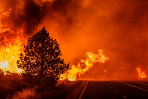 The so-called Park Fire had burned more than 350,000 acres (142,000 hectares) as of Saturday evening, making it the seventh-largest ever recorded in California history