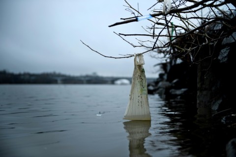 A plastic bag is seen washed up on the banks of the Anacostia River in March 2019 in Washington