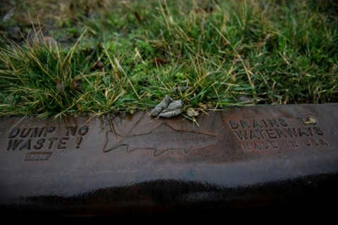 Heavy industry and dumping along the Anacostia's banks have left a legacy of major chemical contamination that remains to this day