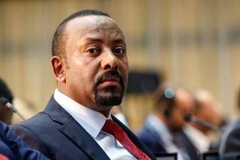 Ethiopian Prime Minister Abiy Ahmed pledged to embark on economic reforms but progress has been slow 