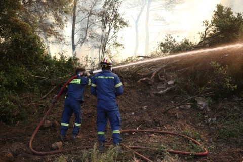 Firefighters spray water to try to extinguish a wildfire in Grammatikos region 