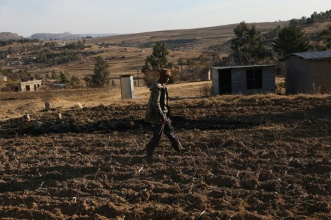 Four-fifths of Lestotho's two million people rely on subsistence farming, the WFP says