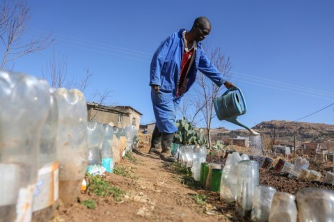 The drought has affected millions of people across southern Africa